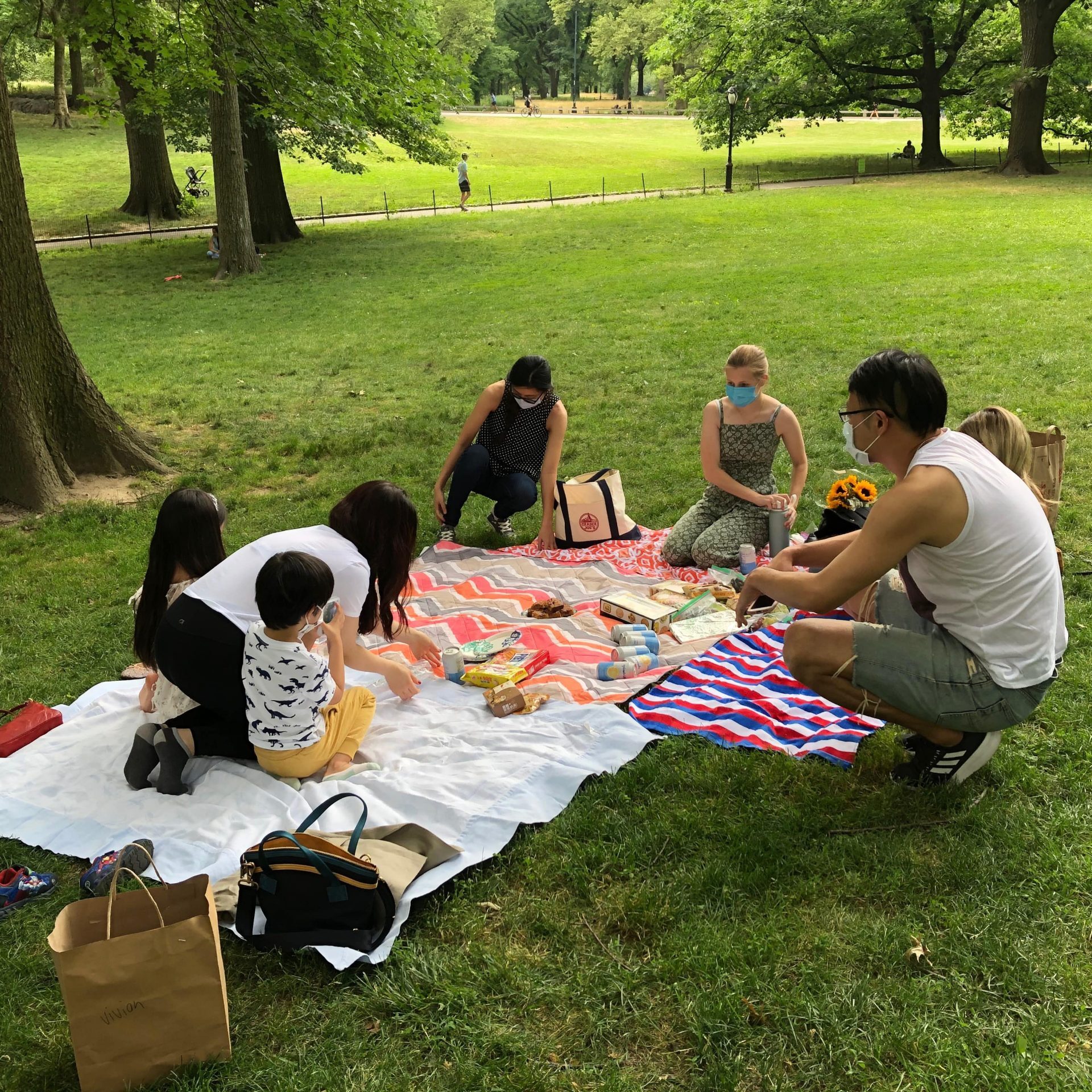 Meaghan's Farewell Picnic
